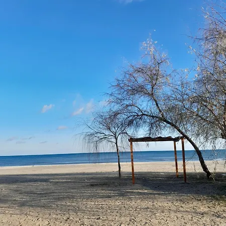 On The * Năvodari